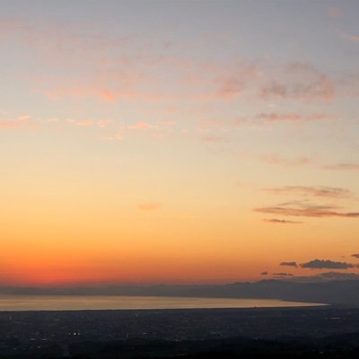 owlca2strong's profile picture. 