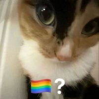 eli (@lin_idek) 's Twitter Profile