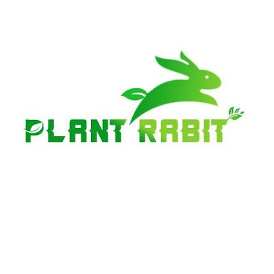 RabitPlant's profile picture. 