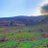 sleem_alzaidi's profile image