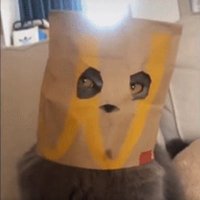 IIIIIIIIIII (@ililiiiliiillli) 's Twitter Profile Photo IIIIIIIIIII (@ililiiiliiillli) 's Twitter Profile Photo