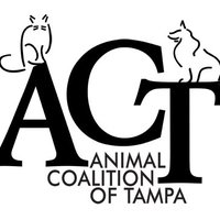 AnimalCoalitionTampa(@ACTampa) 's Twitter Profile Photo