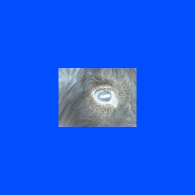 AtoNN from:BijonoB , somnambulism , Accela Materialism,万力商店