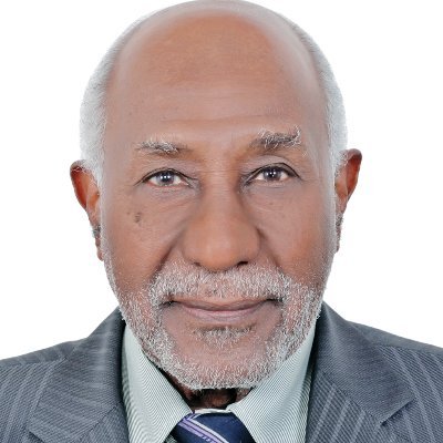 Abdel Rahman M. Gaweish عبدالرحمن محمد جاويش Profile