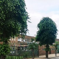 Somerford Grove Practice (@somerfordgp) 's Twitter Profile