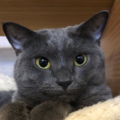 tomyさんのプロフィール画像