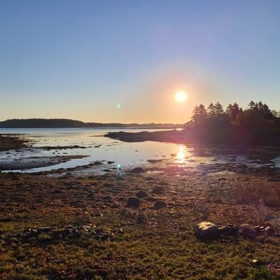 Ginger_BreadHut's profile picture. Skip for now