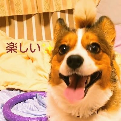 Mizuki_Alice8 Profile Picture