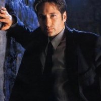 domesticated terrorist (@foxdoffmulder) 's Twitter Profile