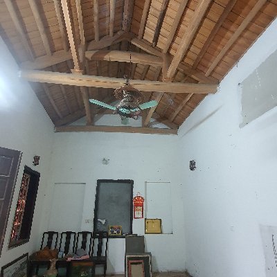 nguyenm06929726's profile picture. 