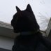 Trappy (@boinga78) Twitter profile photo Trappy (@boinga78) Twitter profile photo