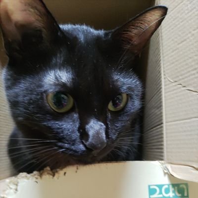 うにゃ