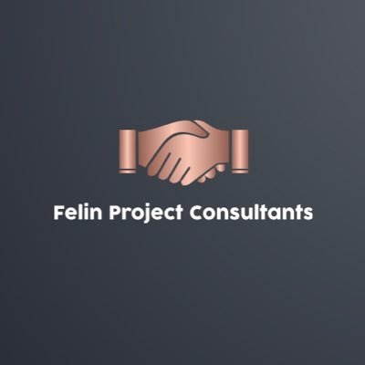 Felin Project Consultants