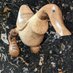 Hallo (@_rowduck_) Twitter profile photo Hallo (@_rowduck_) Twitter profile photo
