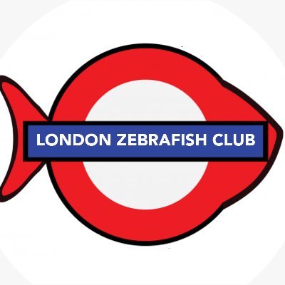 Special Interest Group meetings for #London-based researchers who work with #zebrafish 🦓🐟 sponsored by @GenSocUK