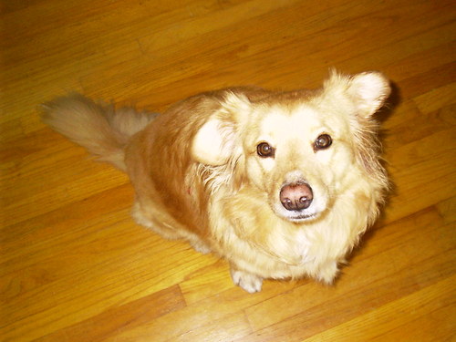 RTPoftheALT's profile picture. 