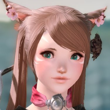 🦋 Noah 🦋さんのプロフィール画像