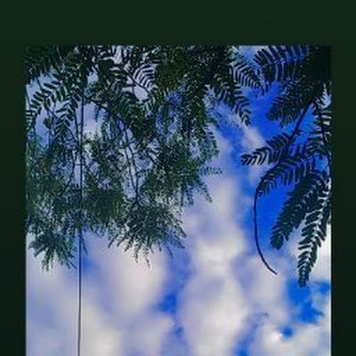 AgusSet60940535's profile picture. 