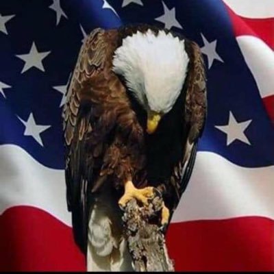 MistyPatriot Profile Picture