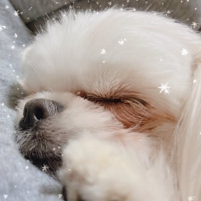趣味垢🎮 apex/BF ps4 で色んなゲームしてます🔥 フォロバ100% 無言フォローすみません🙇♂️ 基本ソロでやってるʅ(◞‿◟)ʃ