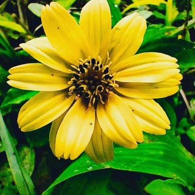 mendros888's profile picture. 