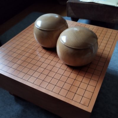 囲碁日本棋院6段。将碁友の会で7段達成。