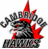 CambridgeMinorH's profile image