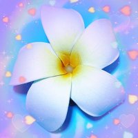 🏖ぷるめりあ (@00ma00ha00lo) 's Twitter Profile