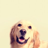 Nonzy (@nonzymax) 's Twitter Profile