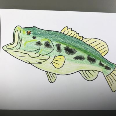 CuzYvg's profile picture. お久しぶりです。【@Gi1XluDmJgoyXAl】のアカウントがログインできないので作り直しました。元小学校教員です。転職しました。2021年4月から畑違いな仕事してます。【古美門先生@元小学校の先生】からこちらへ