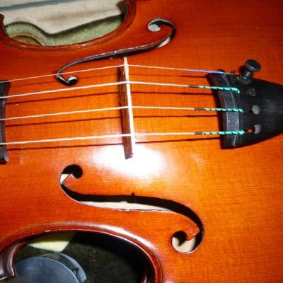 Violinbeau Profile Picture