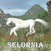 Selornia (@scimitararts) Twitter profile photo Selornia (@scimitararts) Twitter profile photo