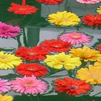 작가의 영혼 봇 (@writersoul_b) 's Twitter Profile