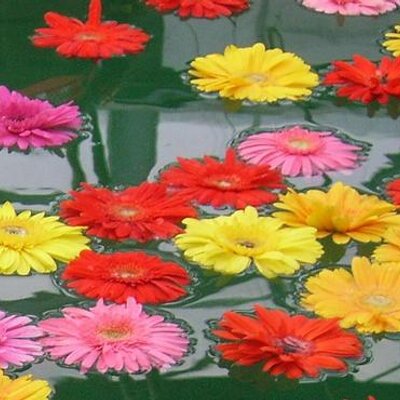 writersoul_b's profile image