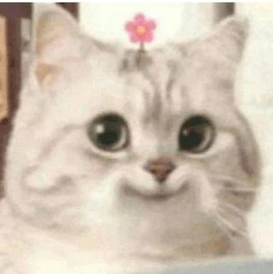 ClareyCes's profile picture. 