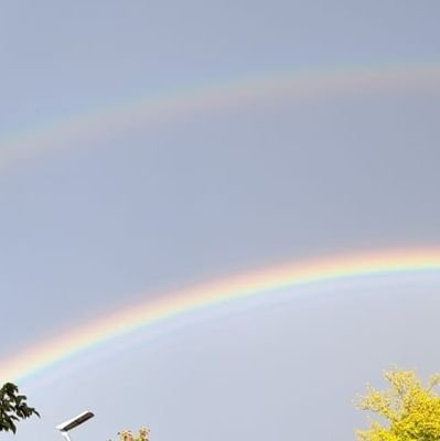 Bautzener Gartenliese.  #noAfD #B96begradigen  🌈🦄  Ein wenig Bescheidenheit stünde uns allen gut.