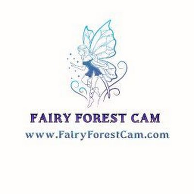 #Fairy lovers, #AIart and access to a live fairy cam feed. Blogs, digital art and recommended products. Cat and Dog lover.