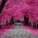 selina weir - @tarheelchicknc - Twitter