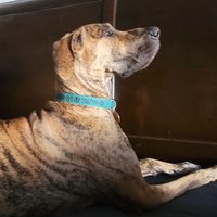 Vislander 🇺🇲 (@usislander) 's Twitter Profile