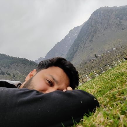 optimisticDR3's profile picture. 