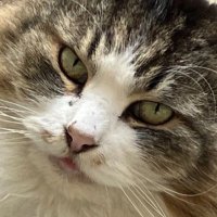 Takeshi Hattori, Ph.D. (@takeshixhattor1) 's Twitter Profile Photo Takeshi Hattori, Ph.D. (@takeshixhattor1) 's Twitter Profile Photo