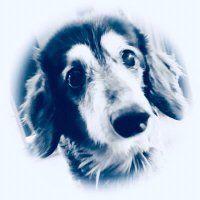 kenichi 〜思い出のアルバム＆感謝のRT〜 (@kenichi22632706) 's Twitter Profile Photo