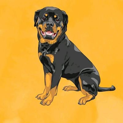 rottweilerdogbreed