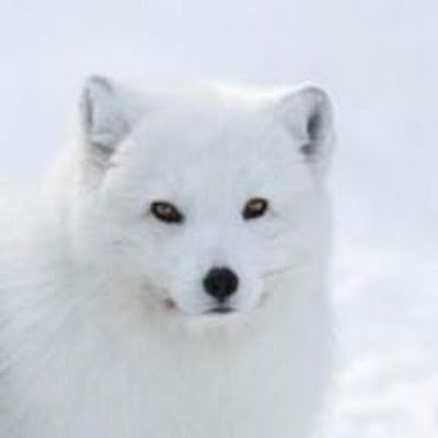 UhaFomin's profile picture. 