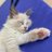 laforet_27