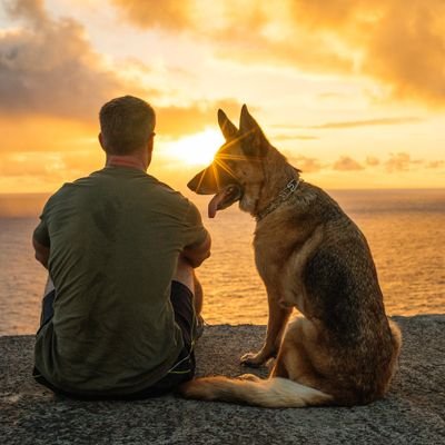 DamonmSmith's profile picture. 