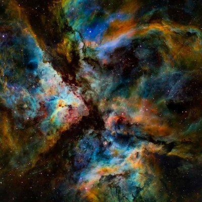 AlextriptonF's profile picture. 