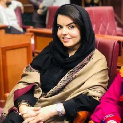 Member of Afghanistan’s Parliament in Exile ‌#FreeAfghanistan
