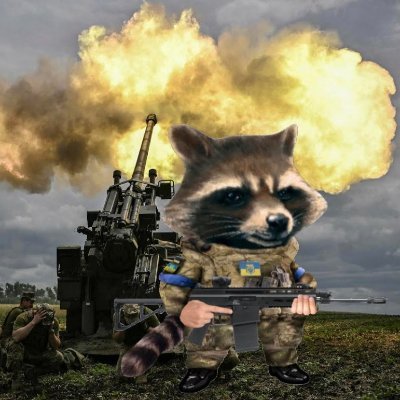 Meidas Mike #NAFO #Fella (Rocket Racoon)✡