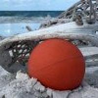 Southern Fried Lax (@sofriedlax) 's Twitter Profile